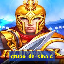 grupo de sinais fortune rabbit